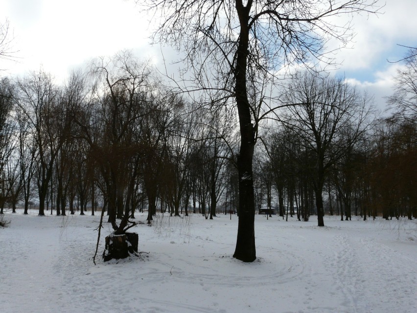 Pabianice. Zimowe krajobrazy na Lewitynie ZDJĘCIA