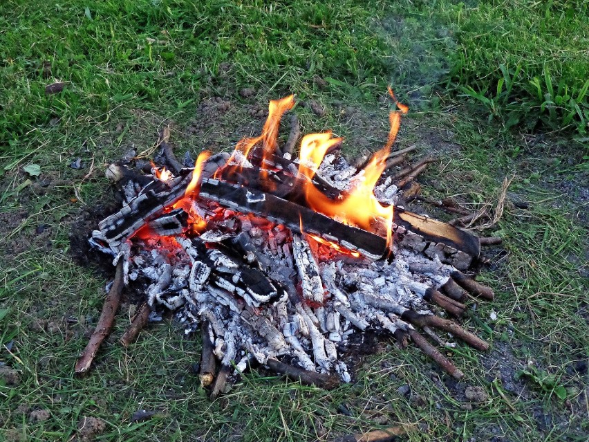 Bushcrafting będzie możliwy w 38 miejscach wyznaczonych...