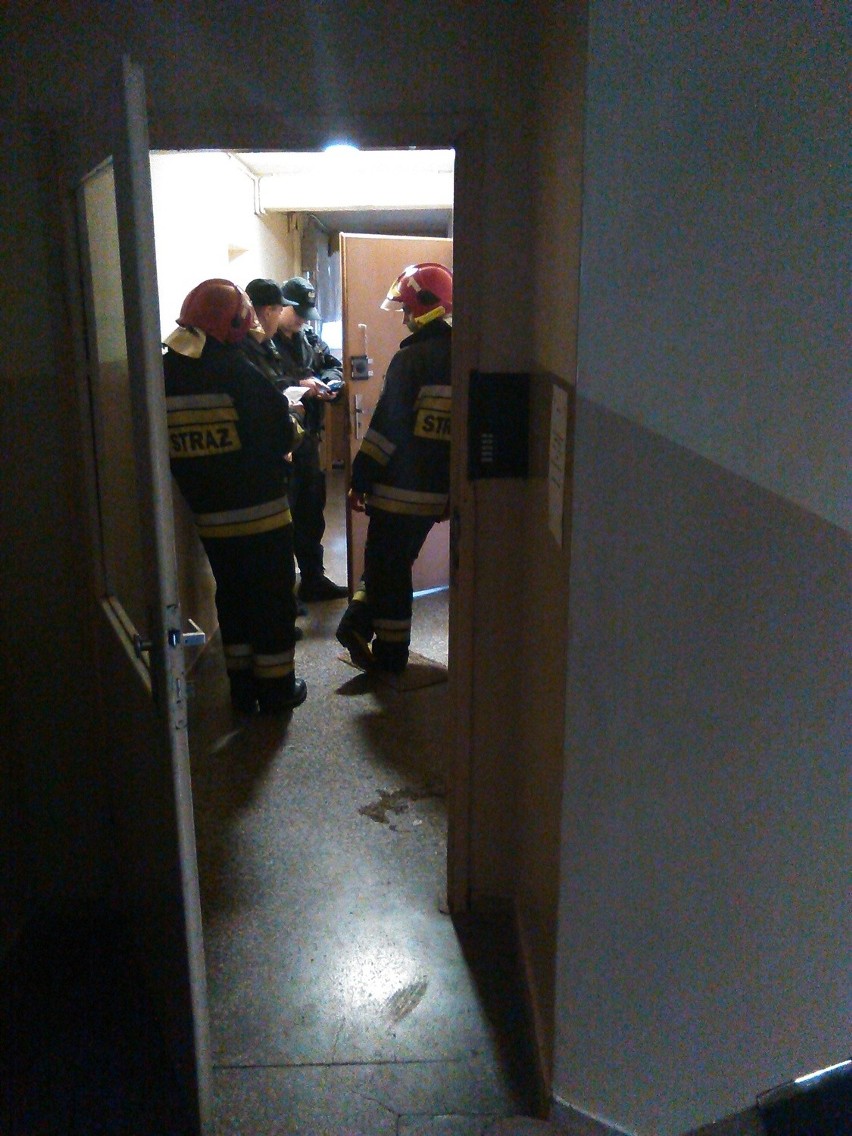 Wrocław: Dymiące garnki przyczyną interwencji straży przy ulicy Kruszwickiej (ZDJĘCIA)