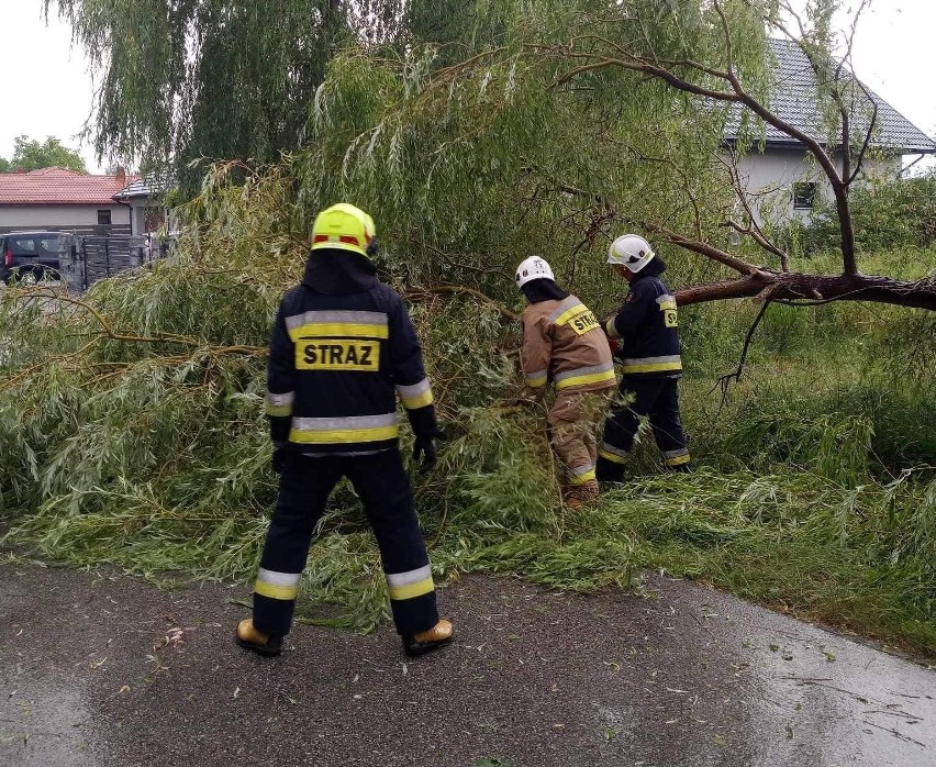 Ponad 30 razy wyjeżdżali strażacy po burzy jaka wieczorem przeszła nad powiatem skierniewickim