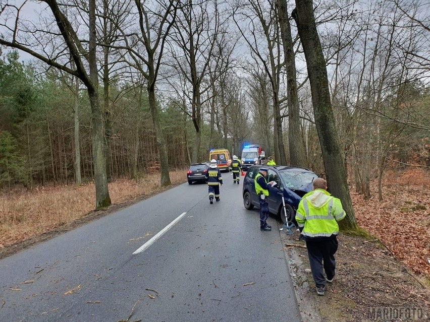 Wypadek w Murowie. Volkswagen touran uderzył w drzewo. Pogotowie zabrało do szpitala dwie osoby, kobietę i jej synka 