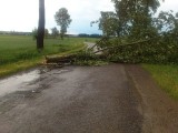 Przez powiat włoszczowski przeszła potężna burza! Zerwany dach, połamane drzewa, uszkodzone linie energetyczne (ZDJĘCIA)