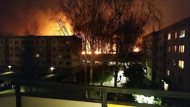 Pożar traw na Kazimierzu Górniczym w Sosnowcu