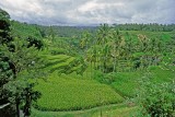 Jacek Pałkiewicz: Ostatni raj na ponadczasowej Bali 