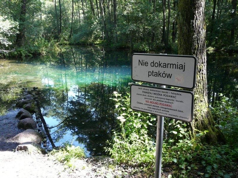 Niebieskie źródła znajdują się w południowo - wschodniej...