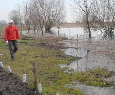 Henryk Radzimski z Płomykowa w gm. Santok czeka aż poziom wody opadnie. Wczoraj dochodziła do jego działki, a w tak mokrej ziemi nie można niczego posadzić.