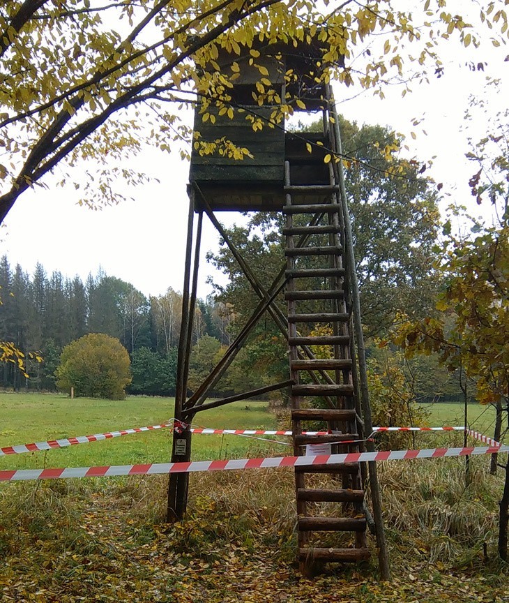 Nadleśnictwo Białowieża. Kolejne ambony zniszczone. To już prawdziwa plaga (zdjęcia)