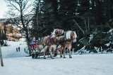 Paragony grozy w ferie 2024. Gorąca czekolada droższa niż grzane wino na Kaszubach i drogie parkingi w Tatrach to tylko początek