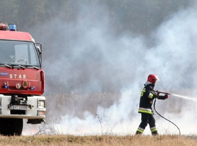 We wtorek strażacy z tarnobrzeskiej komendy gasili pożar suchych traw przy ulicy Litewskiej.