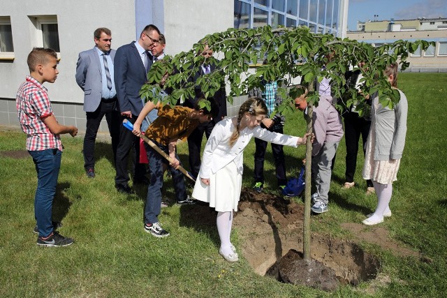 Celem akcji „Drzewko za butelkę” jest połączenie edukacji ekologicznej i aktywności społecznej