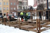 Rozpoczęto budowę szopki bożonarodzeniowej na Rynku w Grudziądzu [zdjęcia]