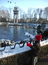 Tarnowskie łabędzie już w cieple