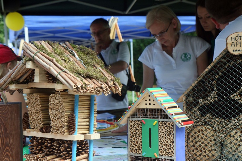 Święto Pszczół w Ogrodzie Botanicznym (ZDJĘCIA)          