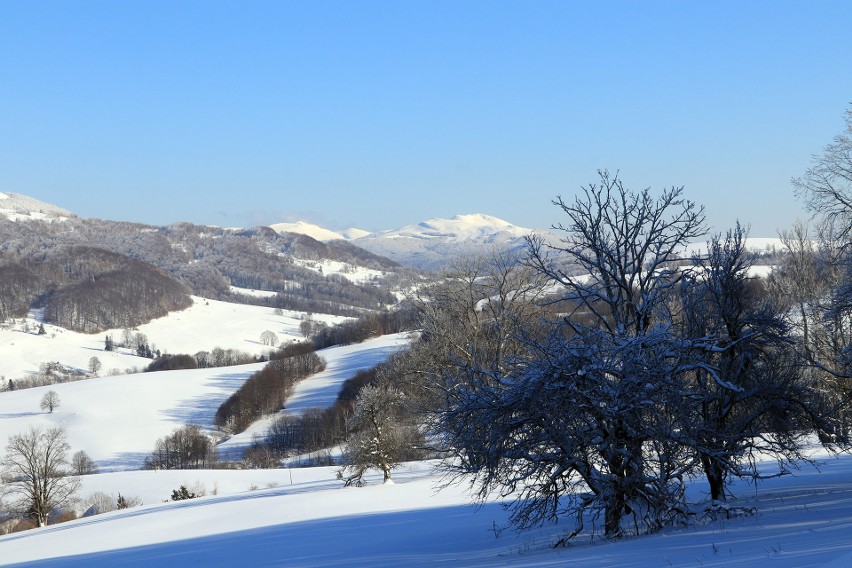 Zima na Połoninie Wetlińskiej. Zobacz niesamowite zdjęcia Bieszczadzkiego Parku Narodowego