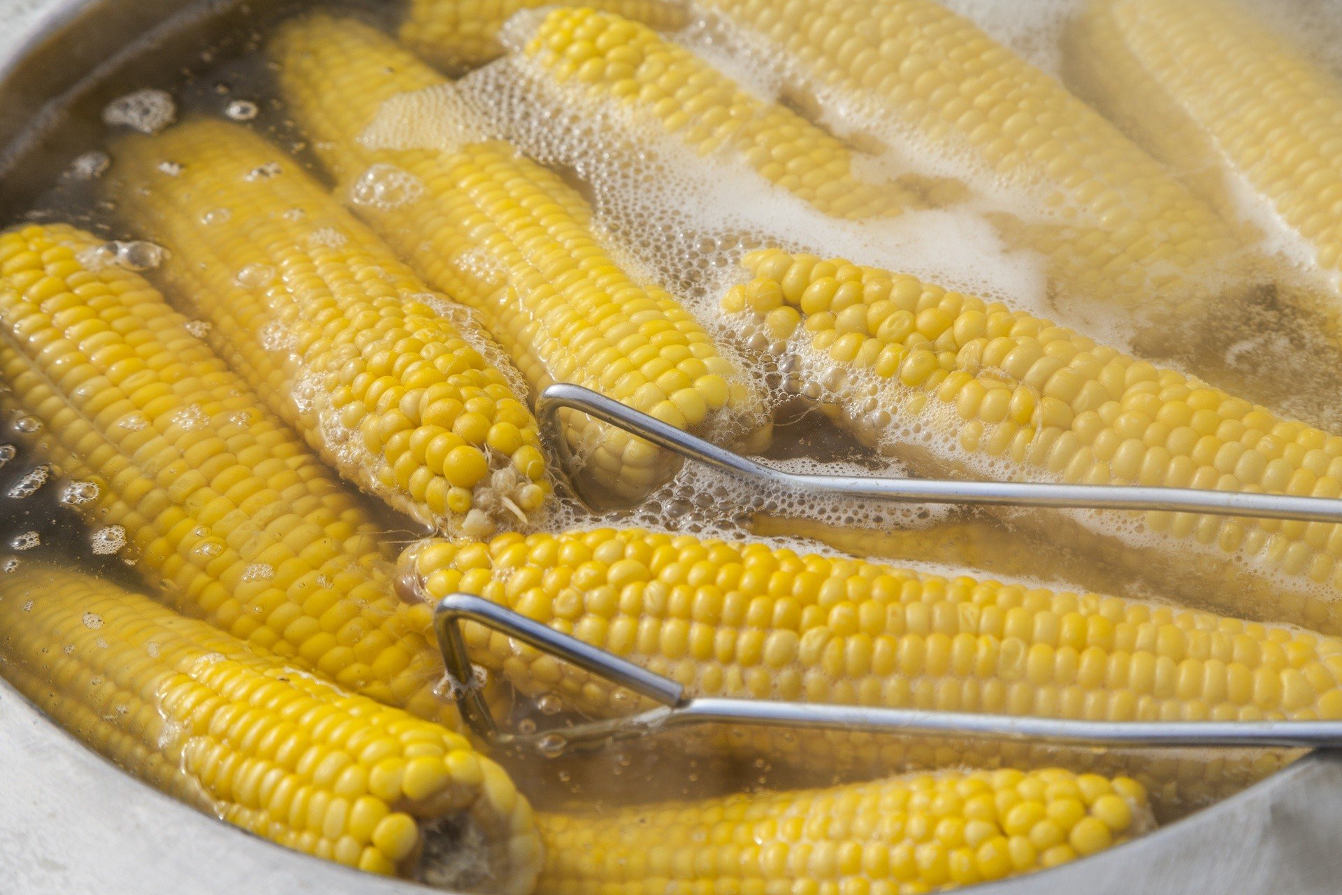 Gotowanie kukurydzy. Jak i ile gotować kukurydzę? Wypróbuj nasz sprawdzony  sposób. Możesz podać ją z masłem i solą | Strona Kuchni