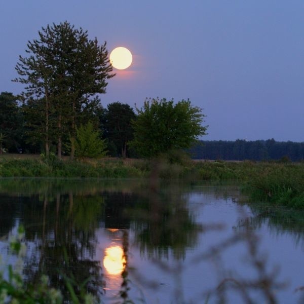 Wielki urok ma nocne lowienie w Narwi