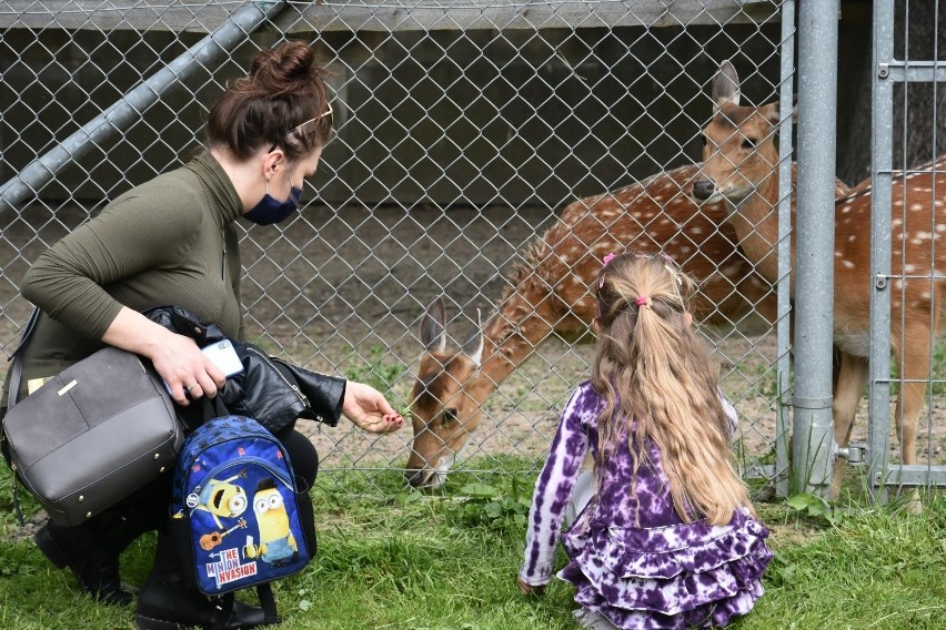 Zoo w Zamościu...