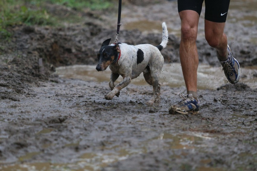 Dąbrowa Górnicza: Hard Dog Race, czyli ekstremalny bieg psów z właścicielami ZDJĘCIA+WIDEO