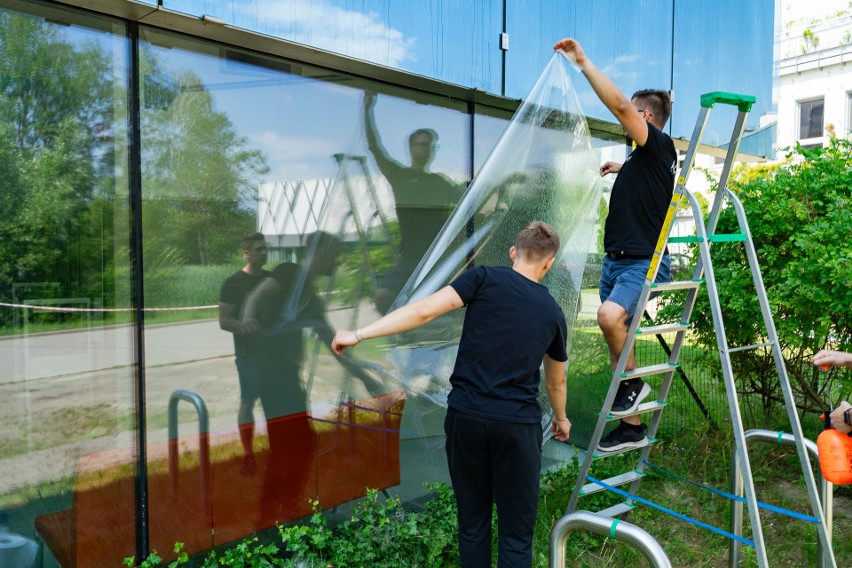 Uniwersytet w Białymstoku przetestuje niewidoczną dla ludzi folię ograniczającą kolizje ptaków ze szklanymi powierzchniami