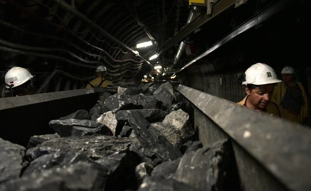 Bogdanka ma obiekcje do nowej kopalni w Lubelskim Zagłębiu Węglowym