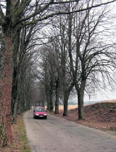 Przebudowa drogi Wołcza Wielka-Kamnica to kontynuacja inwestycji. Wcześniej zmodernizowano odcinek Miastko-Wołcza.