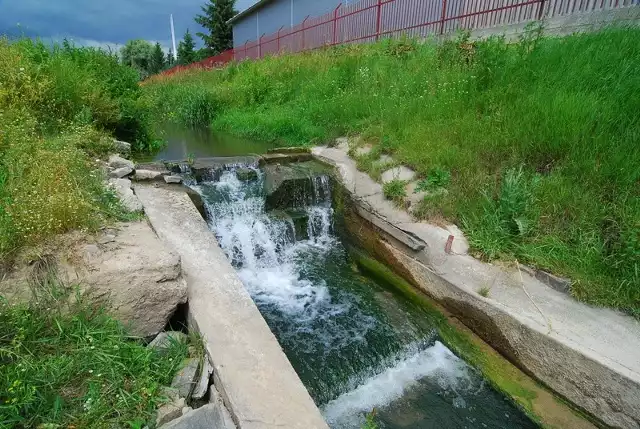 Zdaniem jednego z czytelników "Ech Dnia&#8221; stopień wodny w Samborcu na rzece Gorzyczance skutecznie uniemożliwia przepływanie ryb w górę rzeki, do miejscowości Gorzyczany.