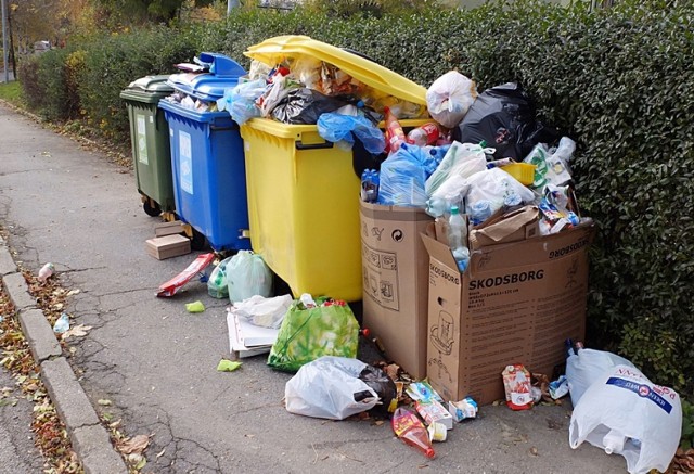 Dotychczas za wywóz śmieci każdy mieszkaniec Rybnika płacił 24 złote miesięcznie. Radni zdecydowali, że ta kwota będzie wyższa.