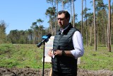 Poseł Konrad Frysztak: Polskie lasy muszą przetrwać dla następnych pokoleń, dość masowej wycinki!