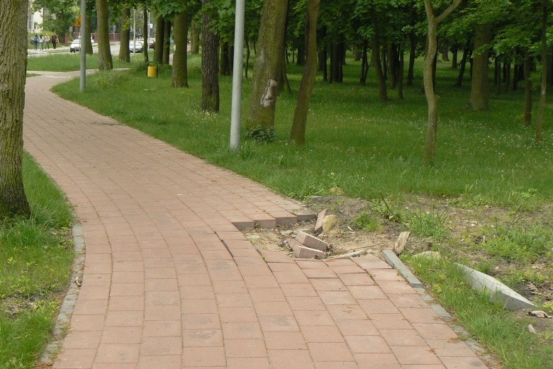 Ścieżka przy ul. Parkowej w Grudziądzu jest źle zaprojektowana i podniszczona