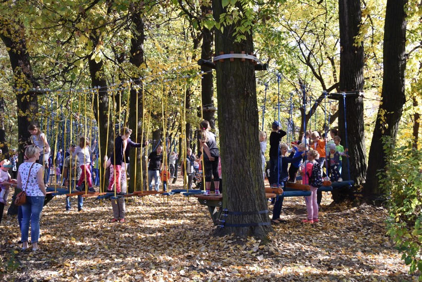 Czeladź: w parku Prochownia od dziś działa park linowy