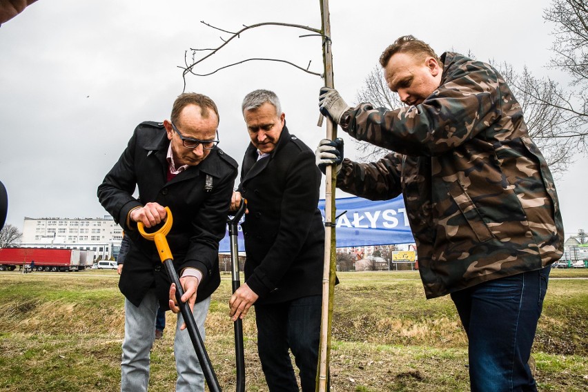 Politycy PO w Dzień Lasu protestowali przeciwko wycince...