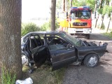 Pijany kierowca uderzył w drzewo pod Białogardem [zdjęcia] 