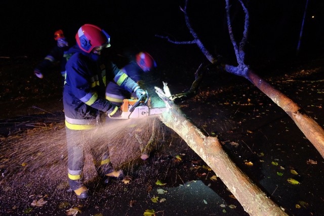 Do zdarzenia doszło w niedzielę na ul. Przemysława w Przemyślu.Na jadący autobus Miejskiego Zakładu Komunikacji w Przemyślu spadło drzewo. W pojeździe oprócz kierowy było jeszcze dwóch pasażerów. Nikomu nic się nie stało. Drzewo z drogi usunęli strażacy. Na miejscu był także patrol policji.