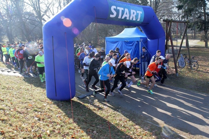 Wrocławska Trzydziestka. Biegacze ruszyli na solidny trening przed maratonem (ZDJĘCIA)