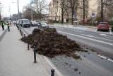 Rozsypano obornik przed Urzędem Wojewódzkim w Poznaniu. "Policja chce wlepić mandat, ale nie wie komu". Zobacz zdjęcia