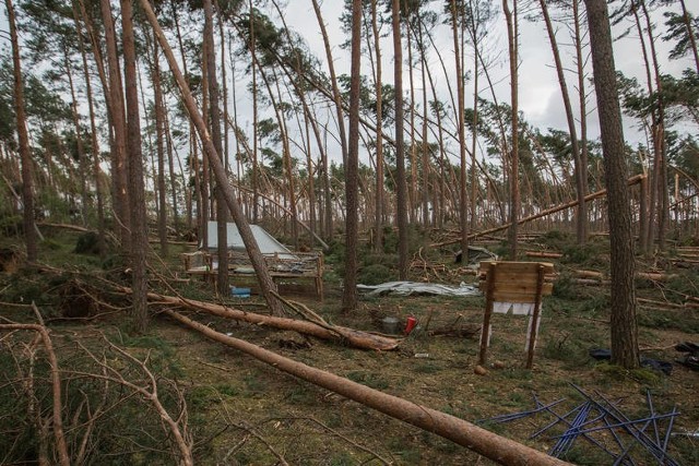 Komisja Budżetowa Parlamentu Europejskiego zajmie się sprawą pomocy dla ofiar burz w kujawsko-pomorskim, pomorskim i wielkopolskim