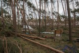 Komisja Budżetowa Parlamentu Europejskiego zajmie się sprawą pomocy dla ofiar burz w kujawsko-pomorskim, pomorskim i wielkopolskim 