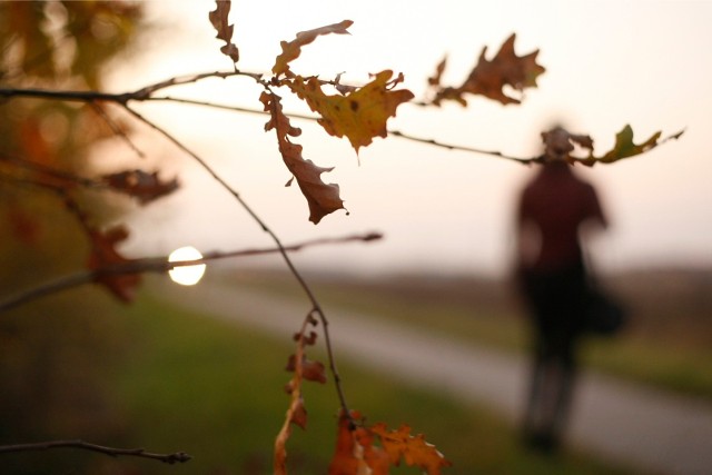 W niedzielę po godzinie 9 jedna z mieszkanek Poznania widziała, jak mężczyzna w wieku 30-40 lat zaczepiał na przystanku na os. Władysława Łokietka młodą dziewczynę, a następnie rozpiął przed nią rozporek. Zdjęcie ilustracyjne.