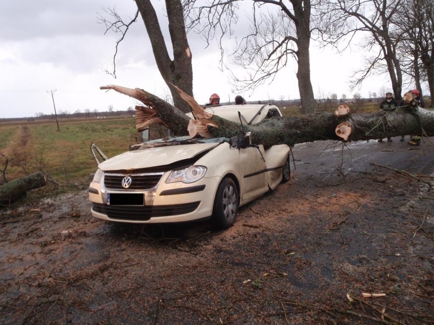 Drzewo spadło na samochód. Trzy osoby nie żyją