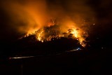 Rekordowa liczba pożarów w brazylijskiej Amazonii. Tak źle nie było od ponad dekady