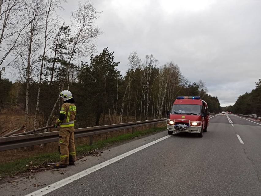 Wichura szalała w powiecie koneckim. Strażacy usuwali z dróg powalone drzewa