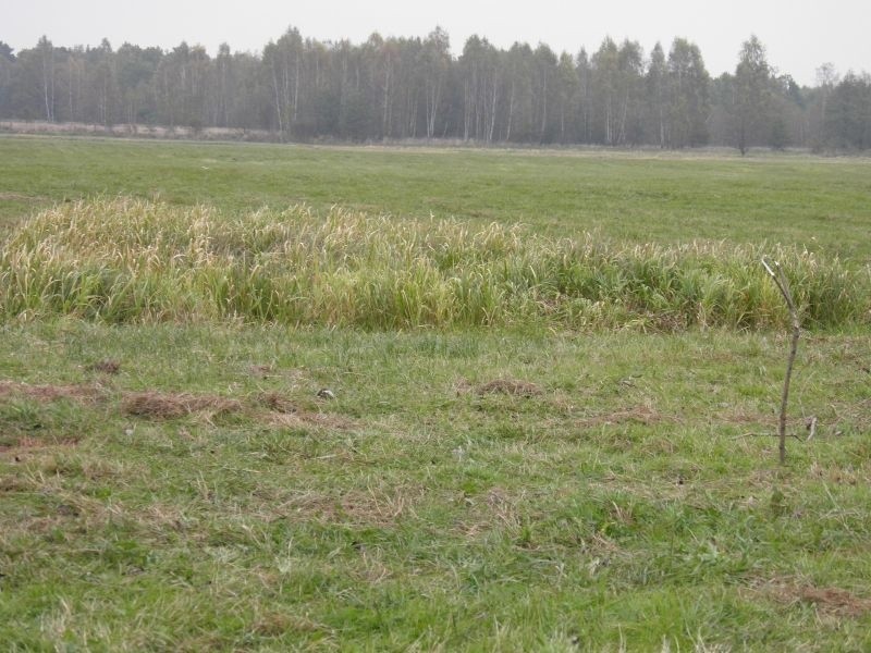 MIejsce odnalezienia zwłok wiceprezydenta Łomży