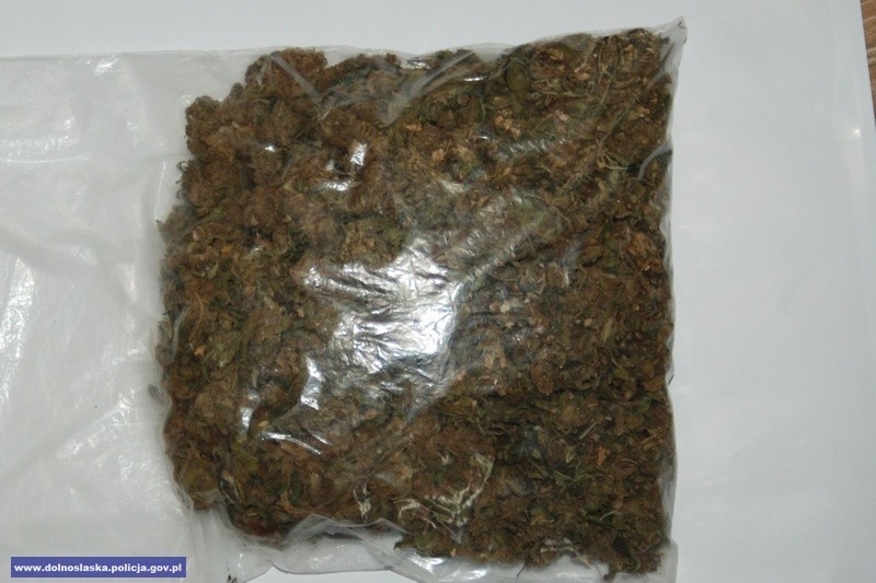 Policjanci przejęli 1200 porcji marihuany