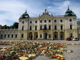 Podróż na Wschód. Rozkładające się warzywa to mapa