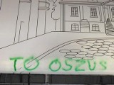 Rafał K., Zielony,  oskarżony o zniszczenie plakatu wyborczego Tadeusza Truskolaskiego