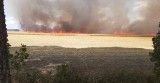 Pożar lasu i pola w Wyczechach w pow. człuchowskim. 31.07.2021 r. Ogień gasiło 10 zastępów straży pożarnej, przyleciał samolot gaśniczy