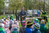 Dni Ziemi 2017 w Krakowie. Przy al. Grottgera zakwitną magnolie 