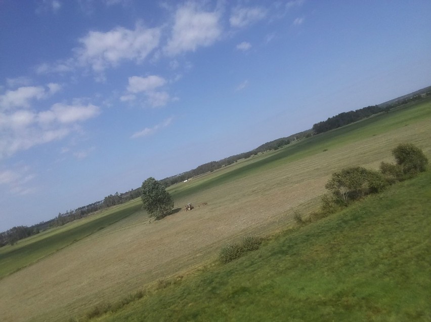 Im szybciej komisje oszacują straty, tym szybciej rolnicy otrzymają pomoc. Nie warto zwlekać ze złożeniem wniosku [ZDJĘCIA, WIDEO]