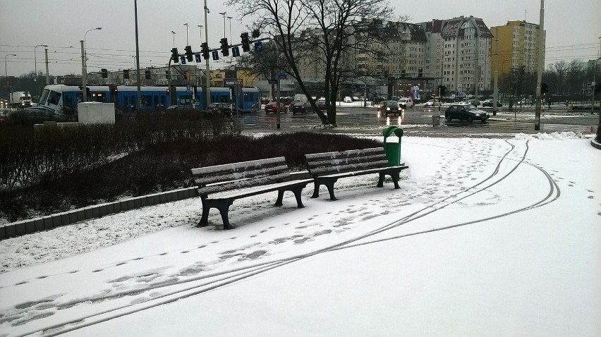 Śnieg we Wrocławiu. Czy będzie jeszcze dzisiaj padać? (PROGNOZA POGODY, ZDJĘCIA)