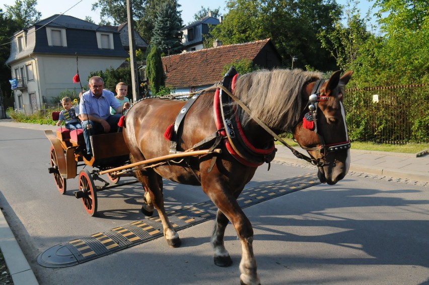 Kraków. Święto Ulicy Włodzimierza Tetmajera za nami [ZDJĘCIA]